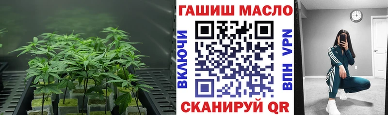 Дистиллят ТГК THC oil  Купить закладки  Ворсма 